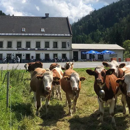 Hotel Gasthof Zum Maurer Mariazell